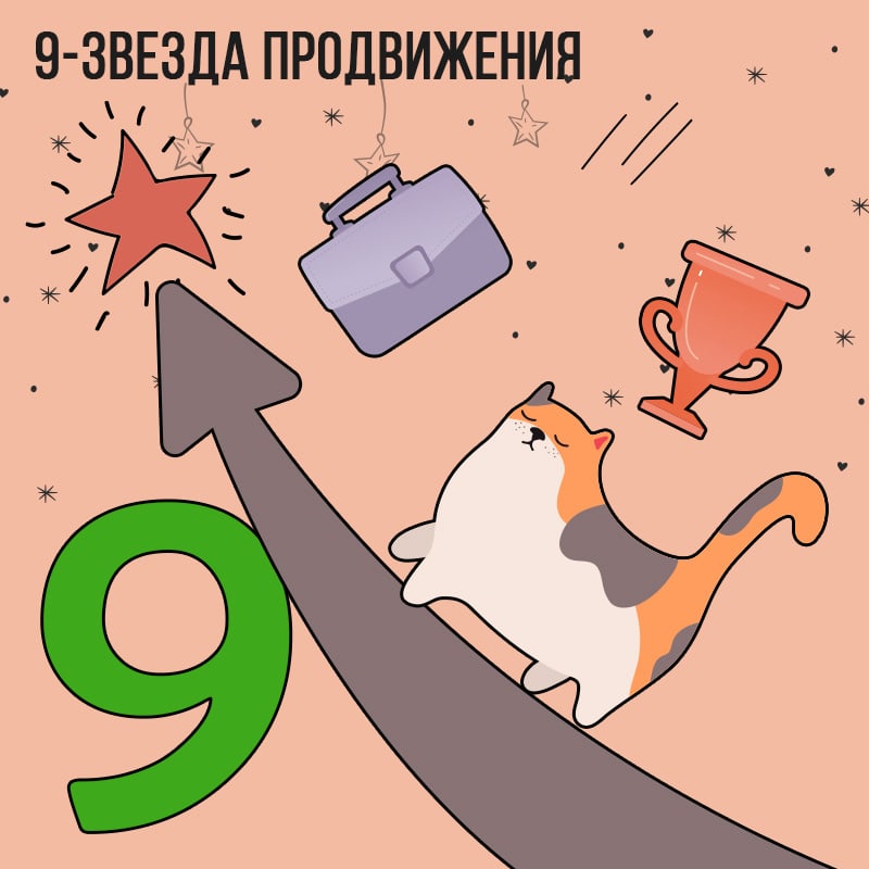 Летящая звезда 9 ( Звезда Продвижения) 2024