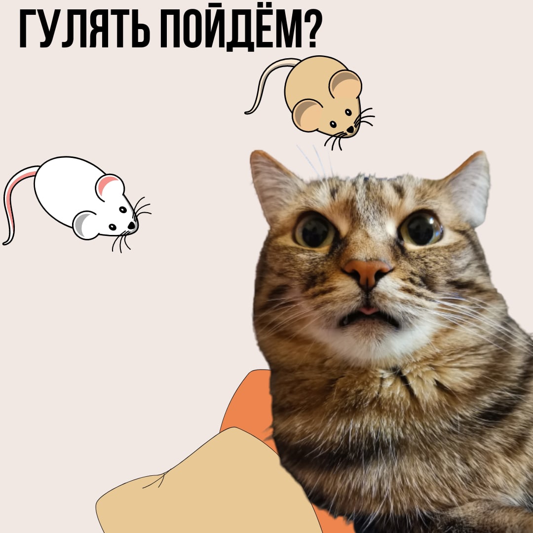 Прогулки по Ци Мэнь