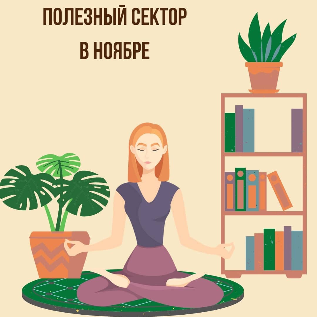 Полезный сектор в Ноябре