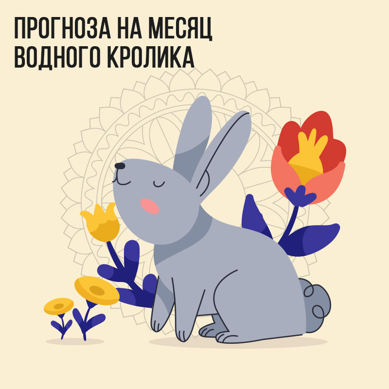 Прогноз на месяц Водного Кролика
