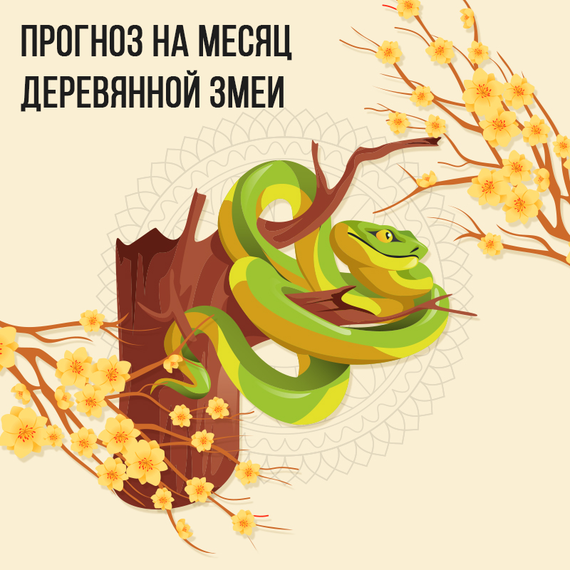 Прогноз на месяц Деревянной Змеи