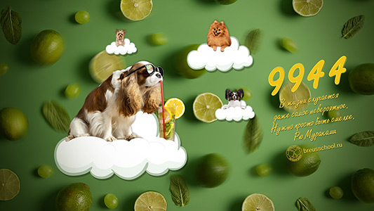 Обои для компьютера