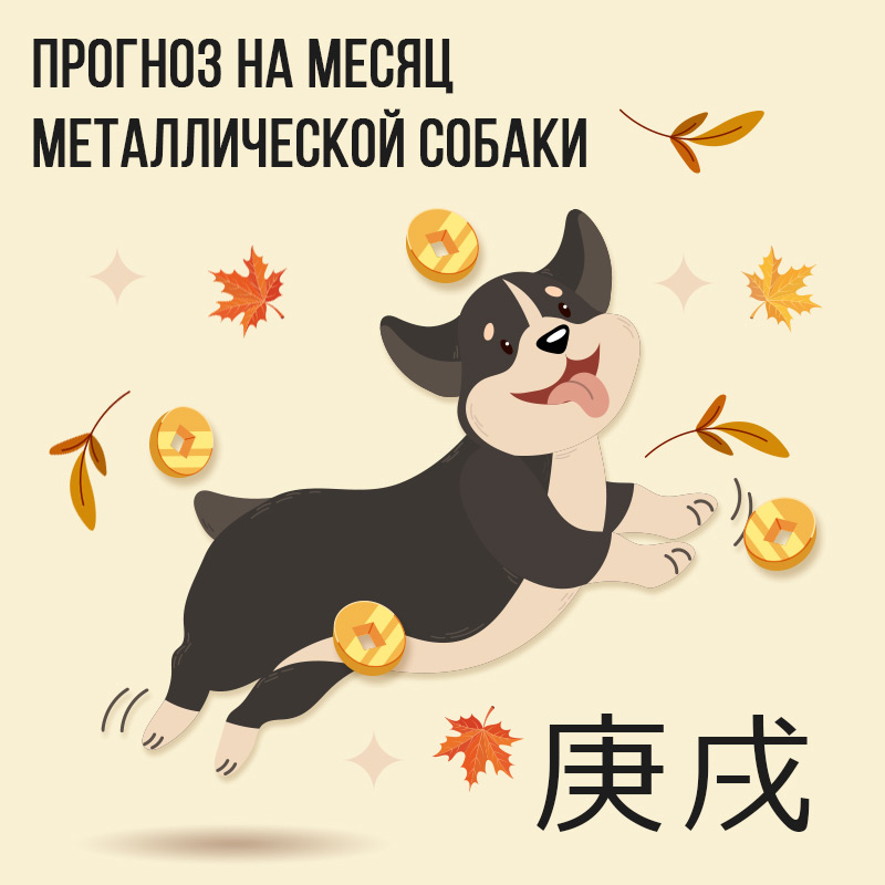 Прогноз на месяц Металлической Собаки