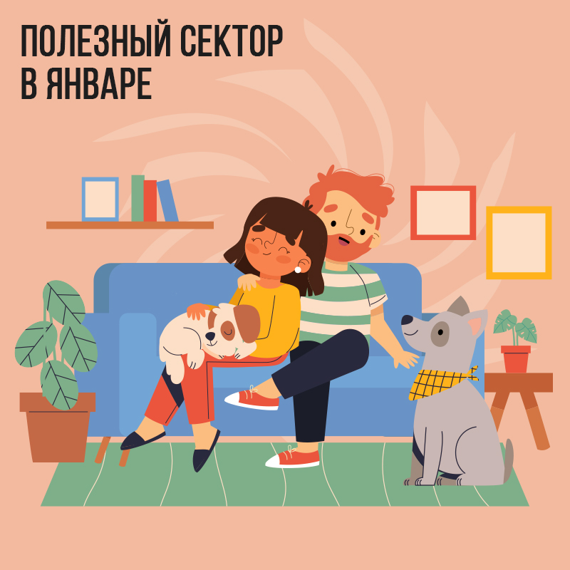 Полезный сектор в Январе