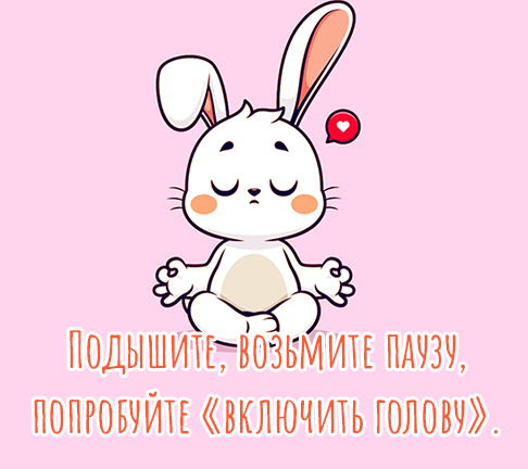 Подышите, возьмите паузу, попробуйте «включить голову».