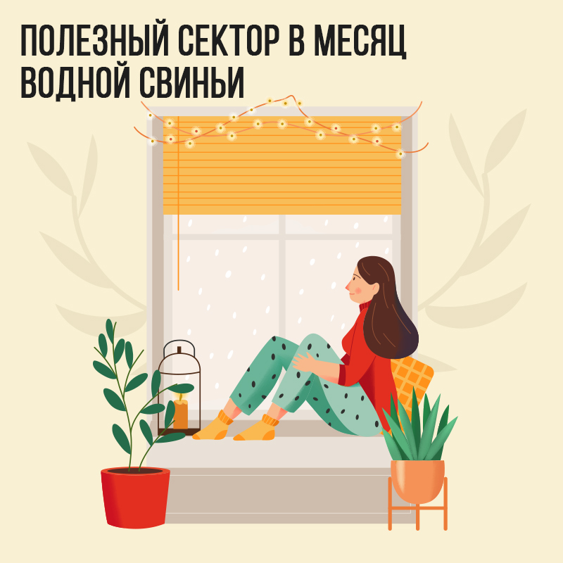 Полезный сектор в Ноябре