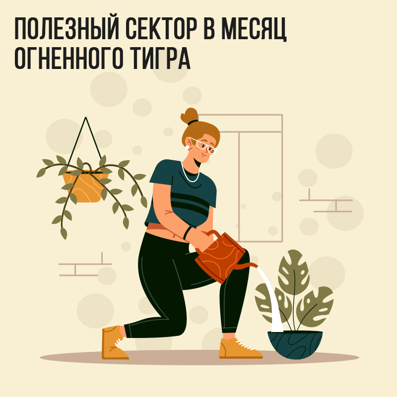 Полезный сектор в Феврале (в месяц Огненного Тигра)