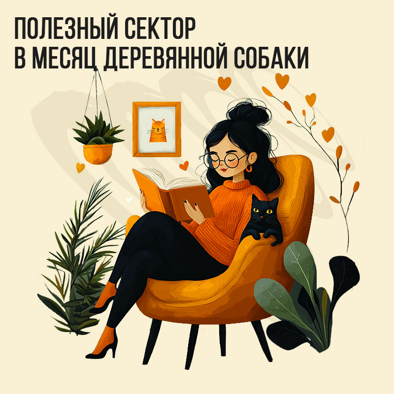 Полезный сектор в Октябре (в месяц Деревянной собаки)